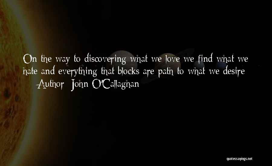 We Hate Love Quotes By John O'Callaghan