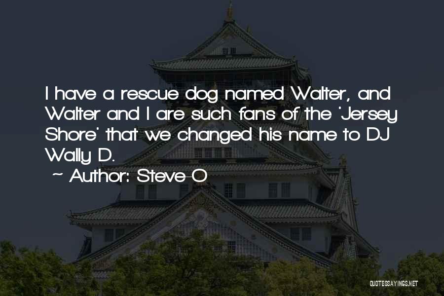 We Have Changed Quotes By Steve-O