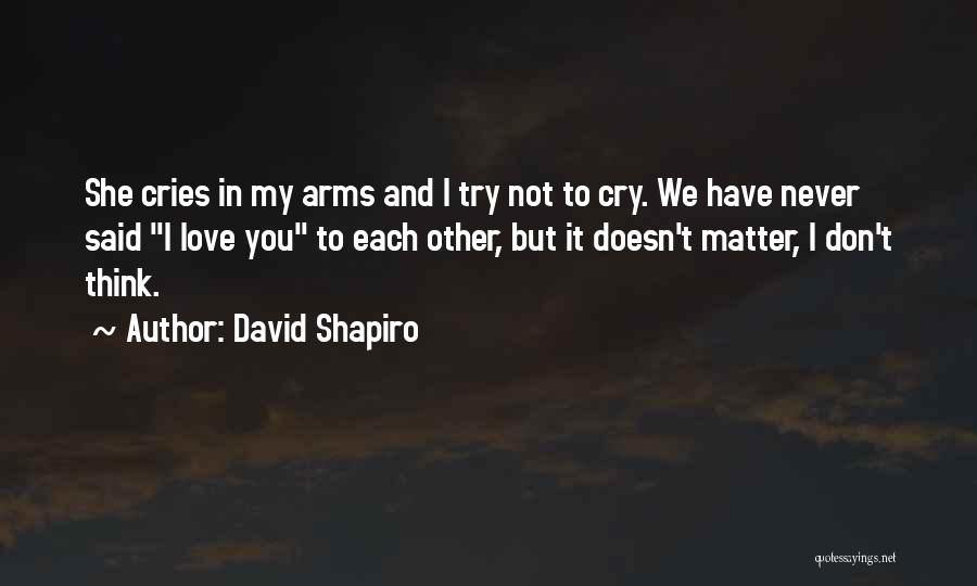 We Have Each Other Love Quotes By David Shapiro