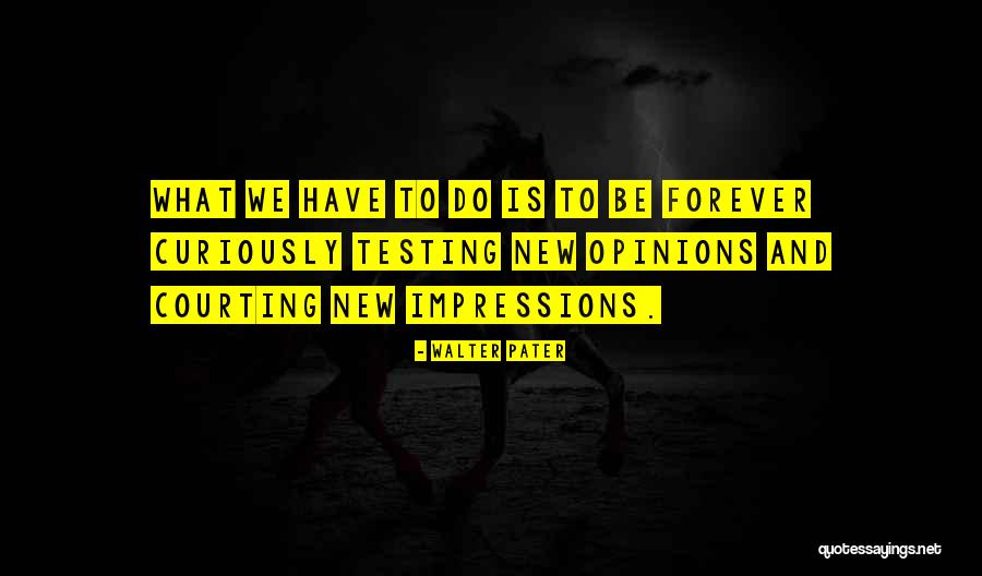 We Have Forever Quotes By Walter Pater We Have Forever Quotes By Walter Pater