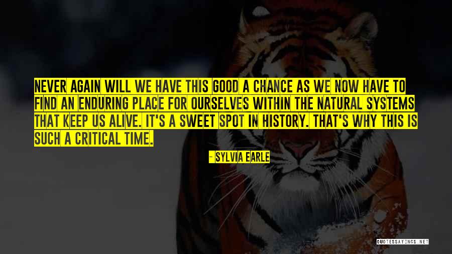 We Have Good History Quotes By Sylvia Earle We Have Good History Quotes By Sylvia Earle
