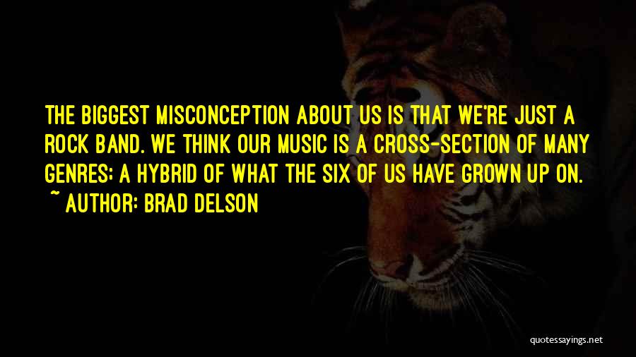 We Have Grown Up Quotes By Brad Delson