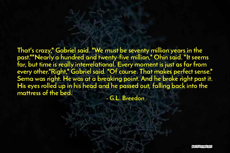 We Just Broke Up Quotes By G.L. Breedon