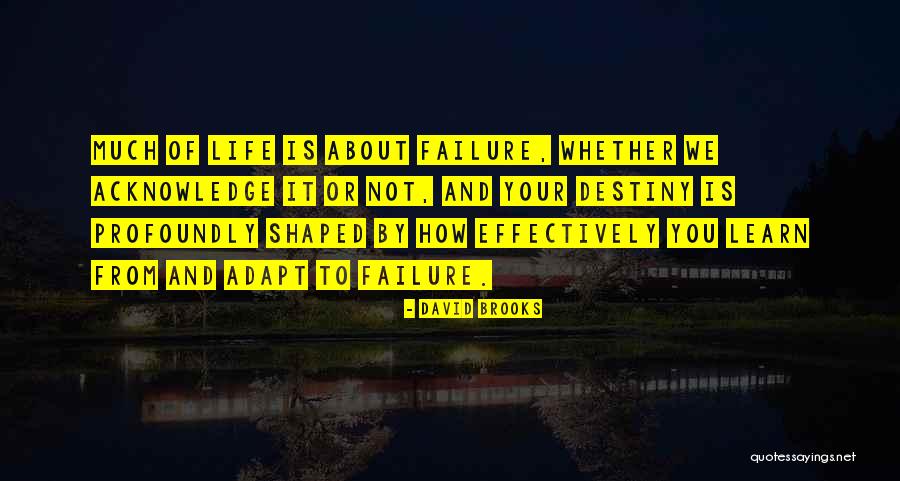 We Learn From Failure Quotes By David Brooks