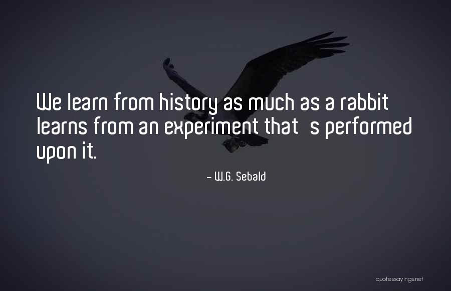 We Learn From History Quotes By W.G. Sebald