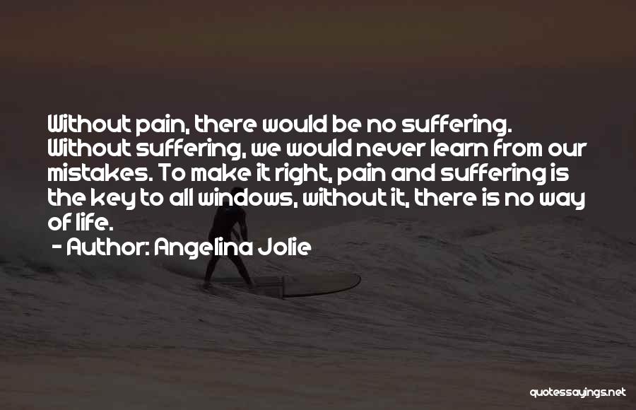 We Learn From Pain Quotes By Angelina Jolie