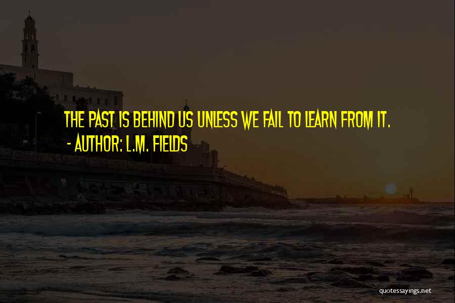 We Learn From The Past Quotes By L.M. Fields