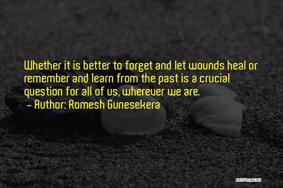 We Learn From The Past Quotes By Romesh Gunesekera
