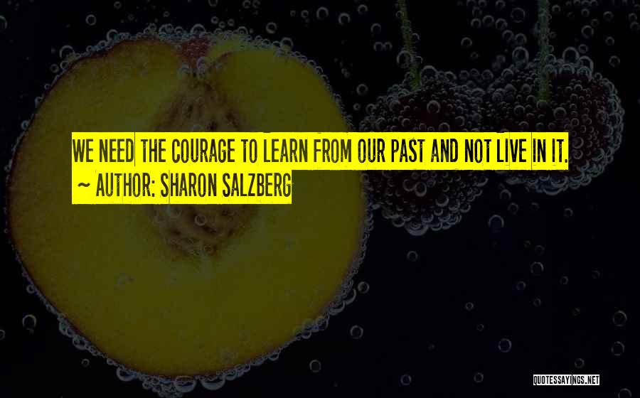 We Learn From The Past Quotes By Sharon Salzberg