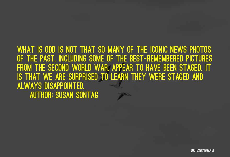 We Learn From The Past Quotes By Susan Sontag