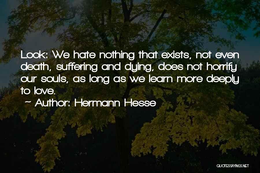 We Learn Nothing Quotes By Hermann Hesse