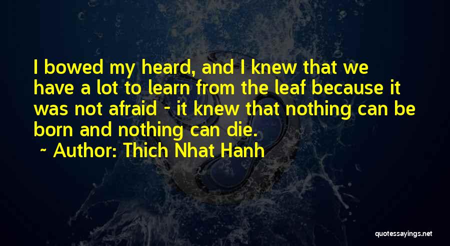 We Learn Nothing Quotes By Thich Nhat Hanh