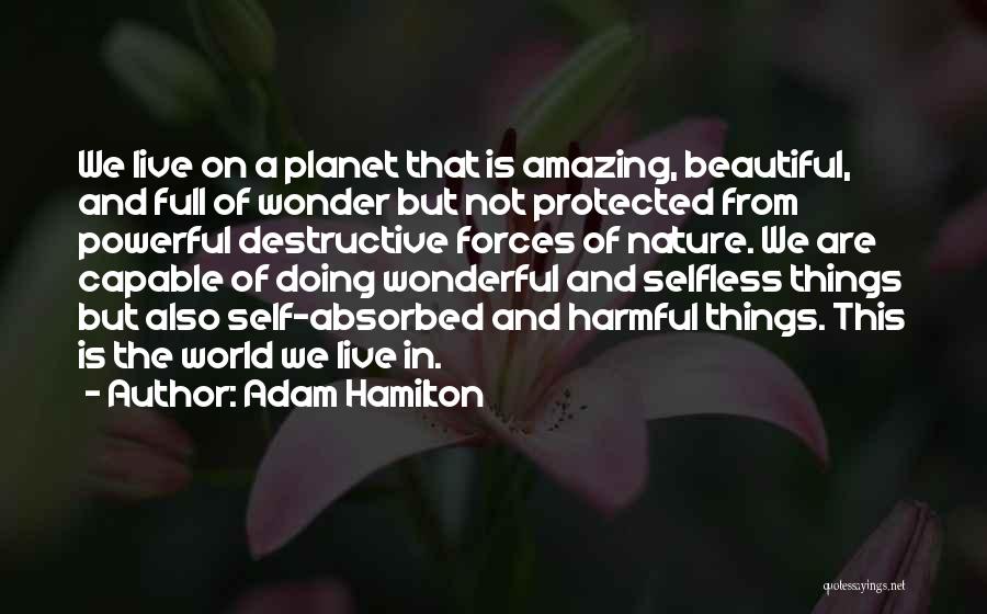 We Live In A Beautiful World Quotes By Adam Hamilton