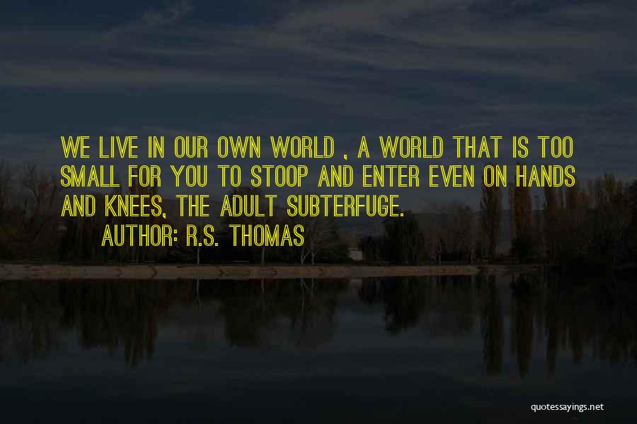 We Live In A Small World Quotes By R.S. Thomas