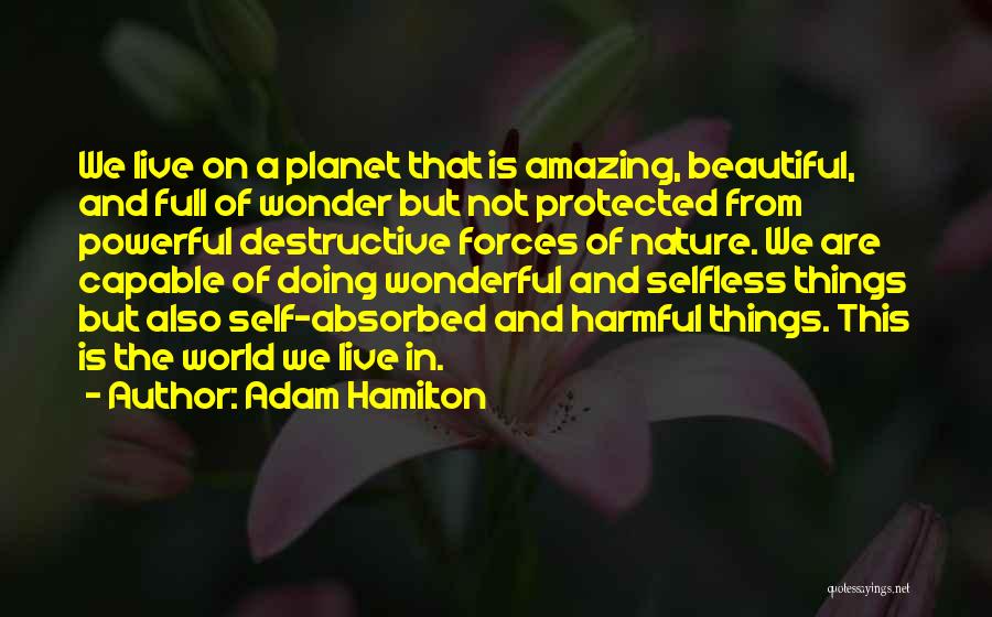 We Live In A Wonderful World Quotes By Adam Hamilton
