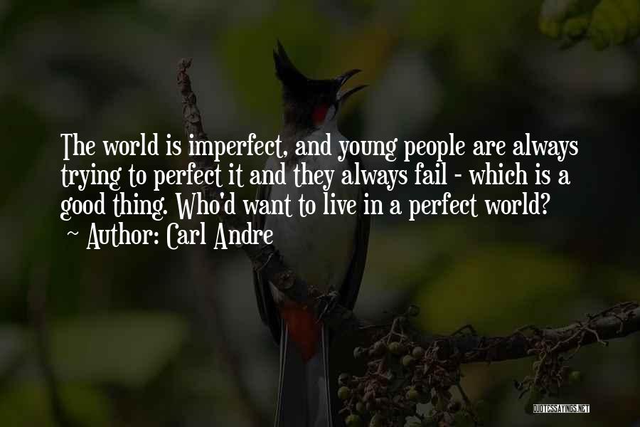 We Live In An Imperfect World Quotes By Carl Andre