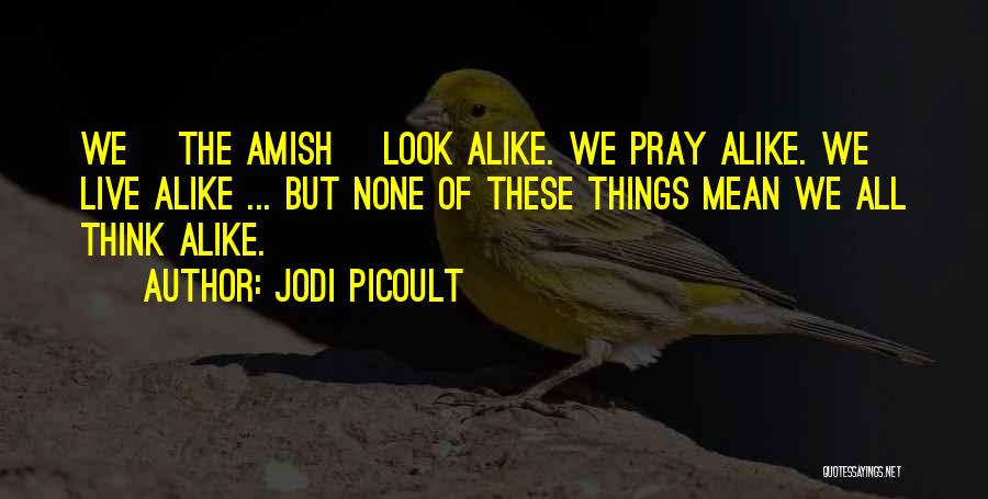 We Look Alike Quotes By Jodi Picoult