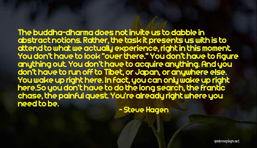 We Look Up To You Quotes By Steve Hagen