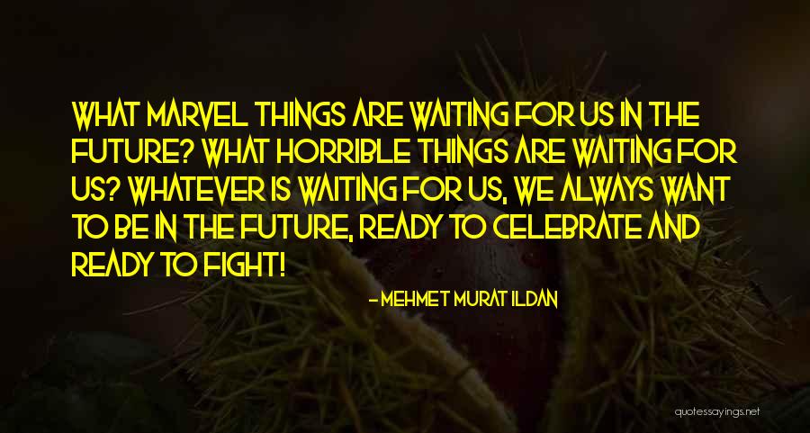 We May Always Fight Quotes By Mehmet Murat Ildan