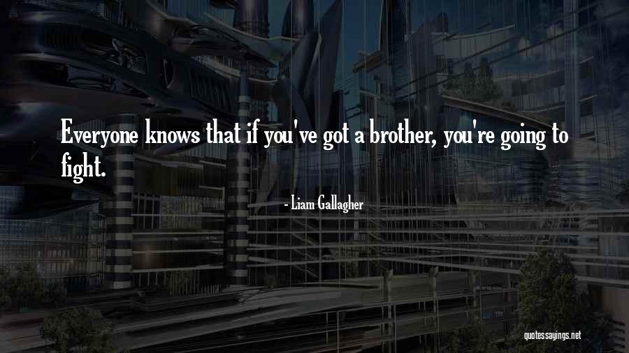 We May Fight Brother Quotes By Liam Gallagher