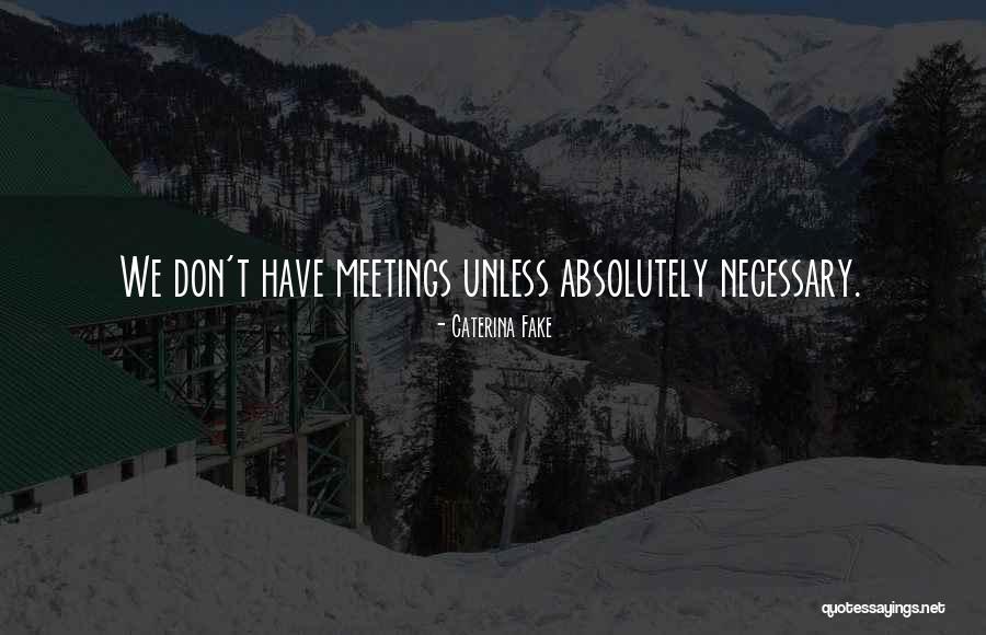 We Meetings Quotes By Caterina Fake We Meetings Quotes By Caterina Fake