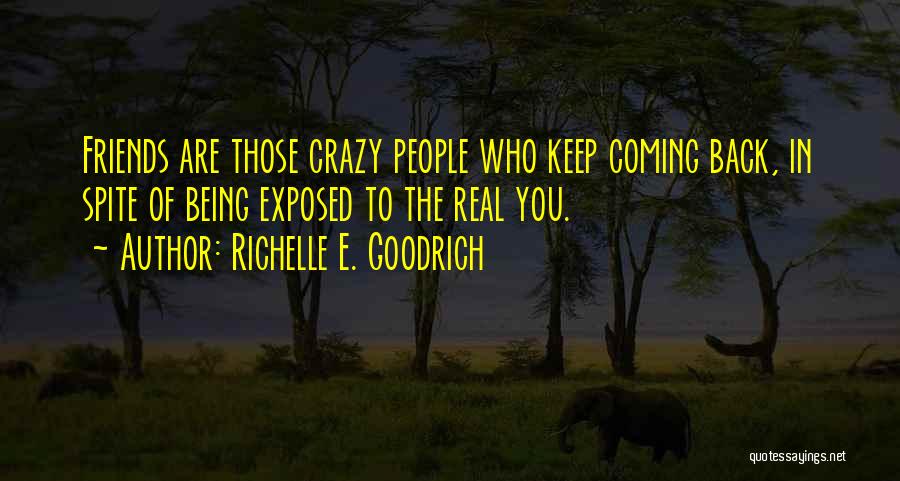 We Might Be Crazy Friend Quotes By Richelle E. Goodrich