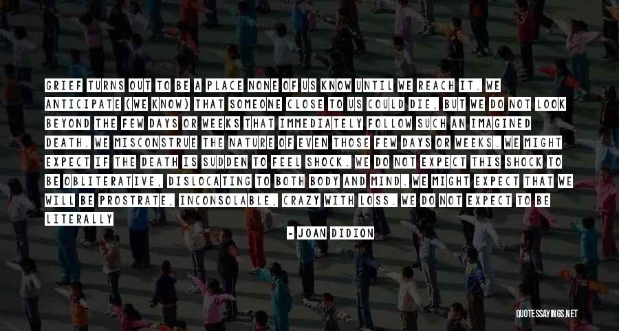 We Might Be Crazy Quotes By Joan Didion We Might Be Crazy Quotes By Joan Didion