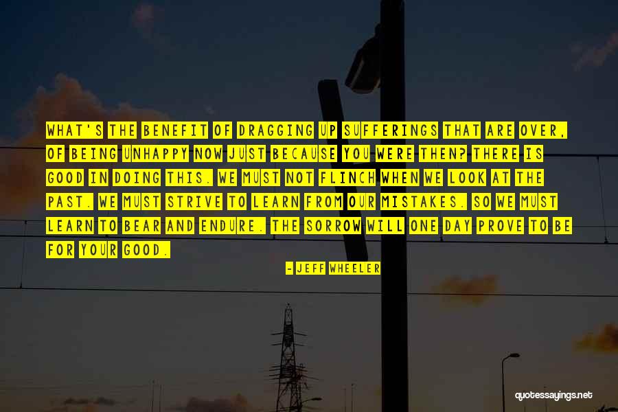 We Must Learn From Our Mistakes Quotes By Jeff Wheeler We Must Learn From Our Mistakes Quotes By Jeff Wheeler