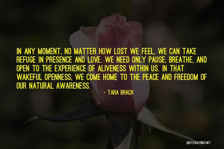 We Need Peace And Love Quotes By Tara Brach We Need Peace And Love Quotes By Tara Brach