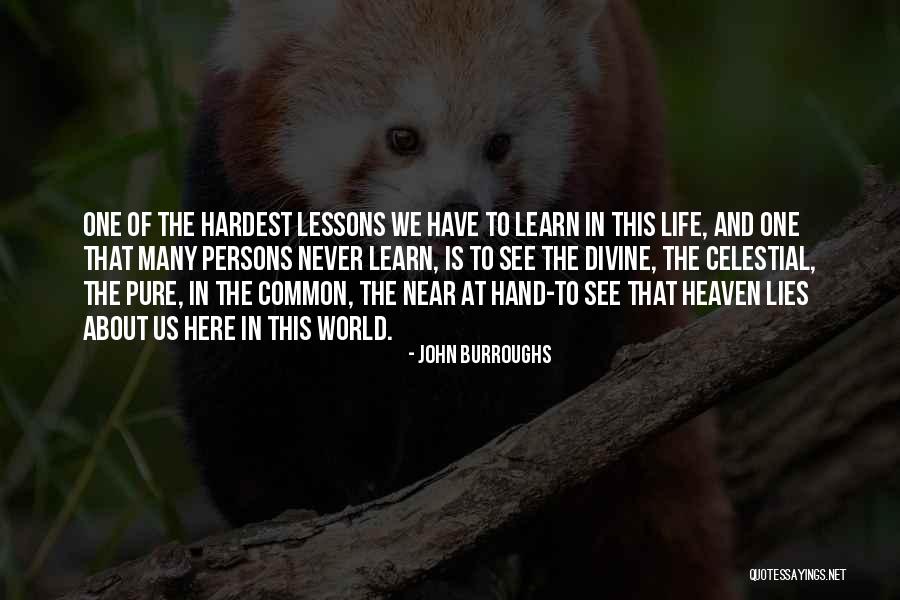 We Never Learn Quotes By John Burroughs