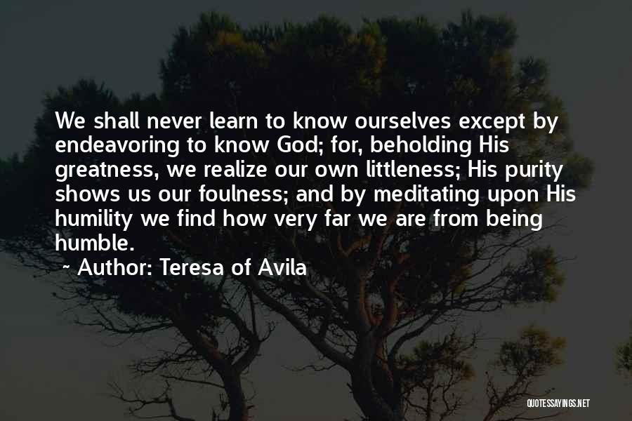 We Never Learn Quotes By Teresa Of Avila
