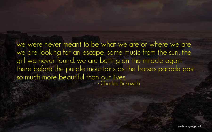 We Never Meant To Be Quotes By Charles Bukowski