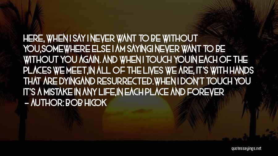 We Never Meet Again Quotes By Bob Hicok