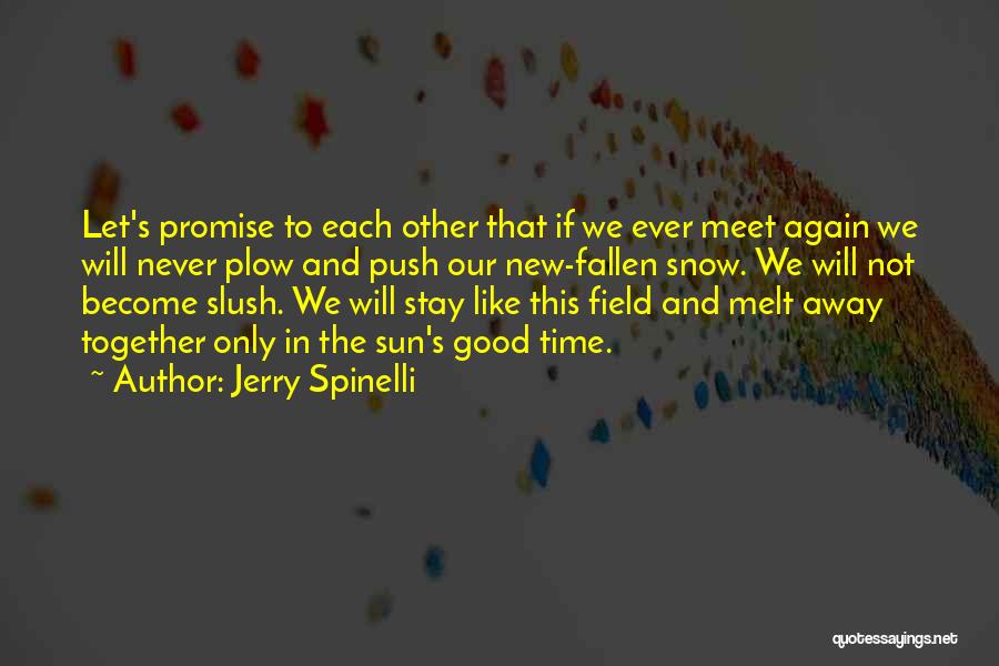 We Never Meet Again Quotes By Jerry Spinelli