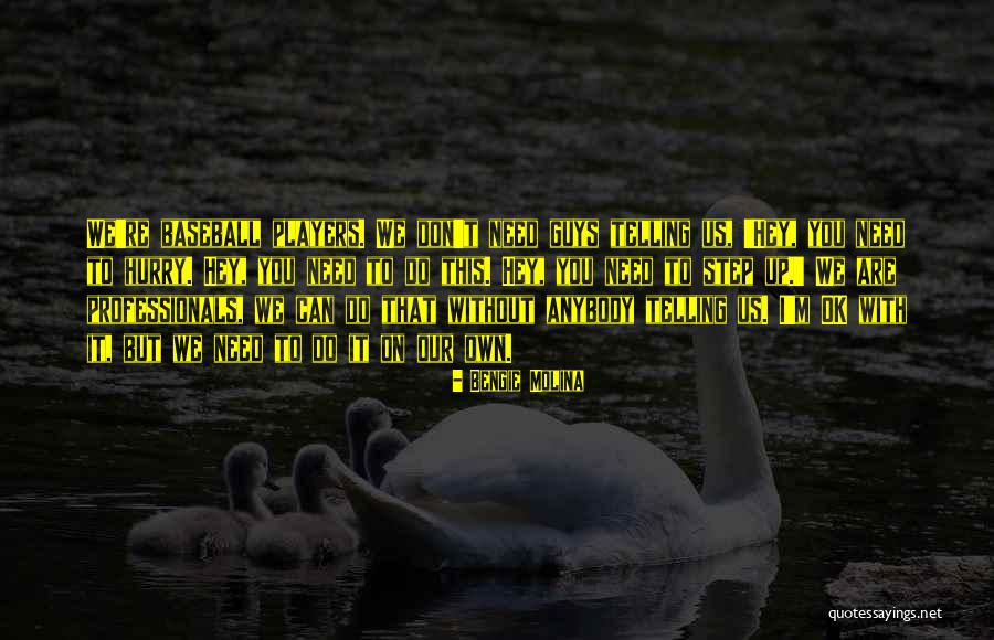 We Own It Quotes By Bengie Molina We Own It Quotes By Bengie Molina