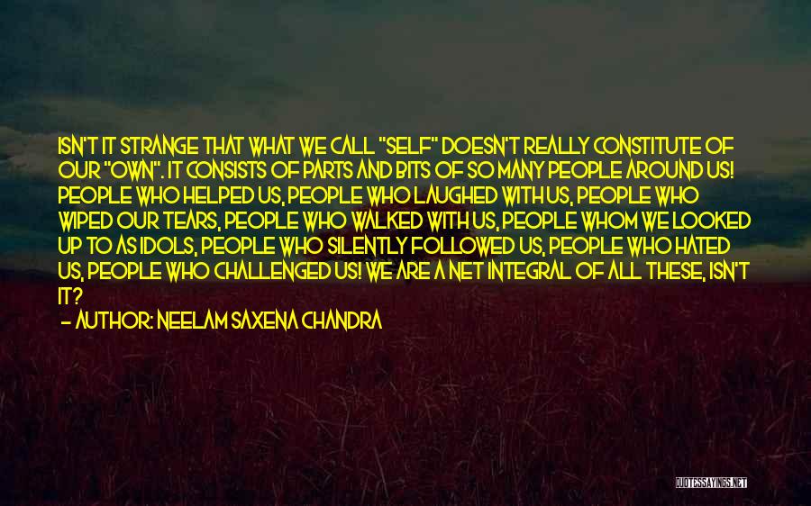 We Own It Quotes By Neelam Saxena Chandra