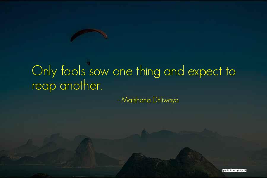 We Reap What We Sow Quotes By Matshona Dhliwayo We Reap What We Sow Quotes By Matshona Dhliwayo