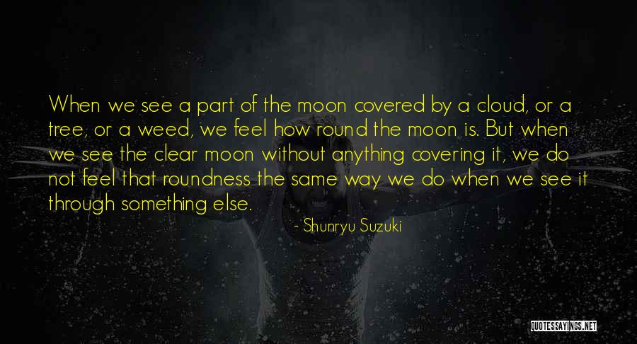 We See The Same Moon Quotes By Shunryu Suzuki