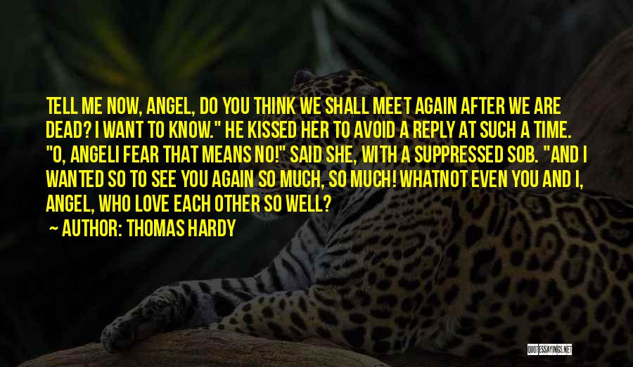 We Shall Meet Again Quotes By Thomas Hardy