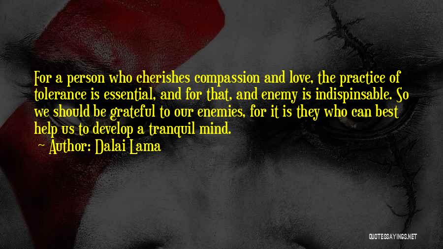We Should Be Grateful Quotes By Dalai Lama