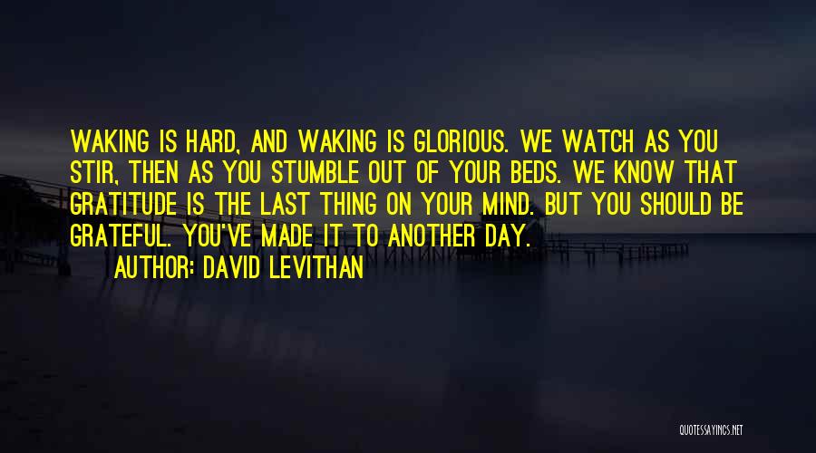 We Should Be Grateful Quotes By David Levithan