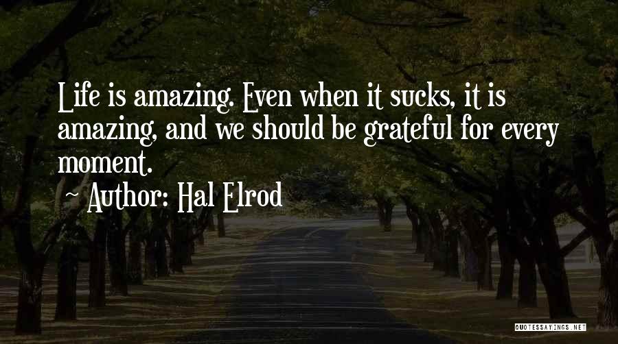 We Should Be Grateful Quotes By Hal Elrod