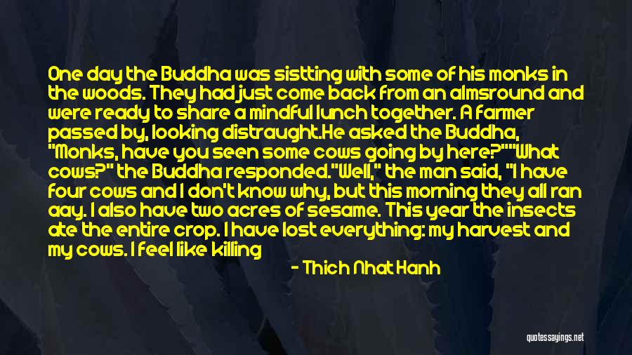 We Should Have Been Together Quotes By Thich Nhat Hanh We Should Have Been Together Quotes By Thich Nhat Hanh