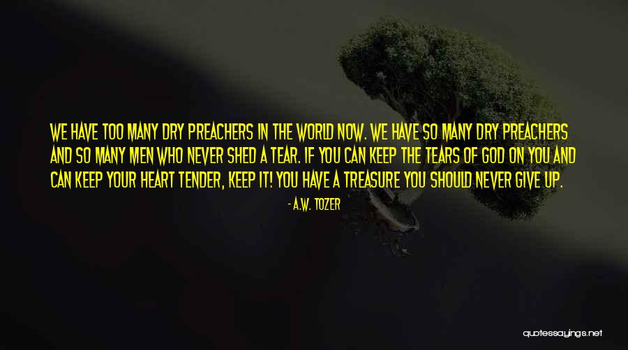 We Should Never Give Up Quotes By A.W. Tozer We Should Never Give Up Quotes By A.W. Tozer