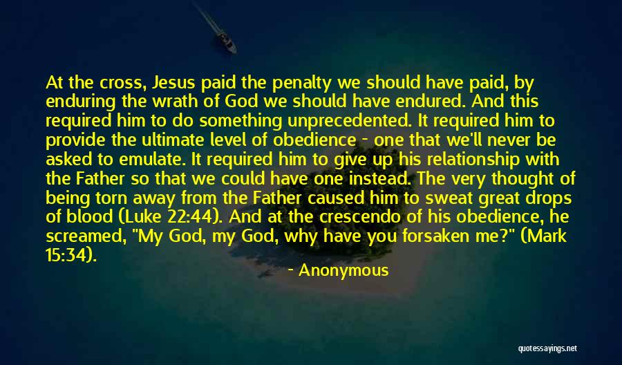 We Should Never Give Up Quotes By Anonymous We Should Never Give Up Quotes By Anonymous