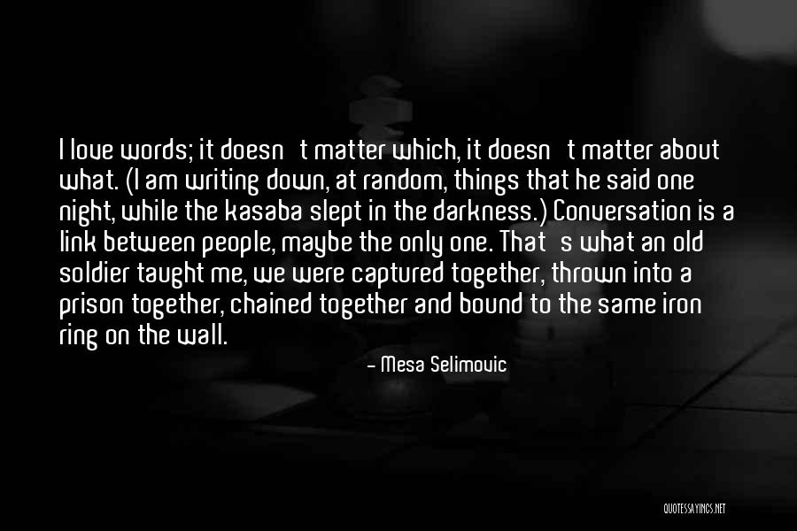 We Soldier On Quotes By Mesa Selimovic We Soldier On Quotes By Mesa Selimovic