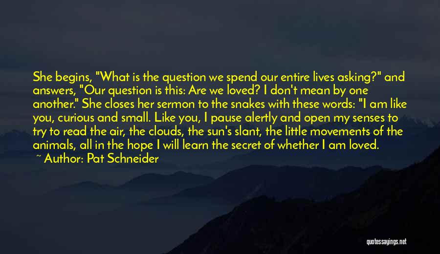 We Spend Our Life Quotes By Pat Schneider