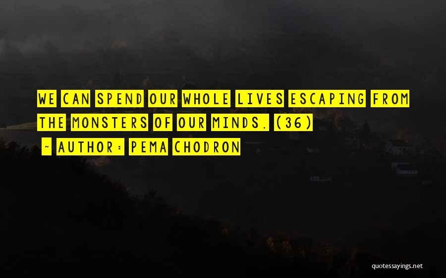 We Spend Our Whole Lives Quotes By Pema Chodron