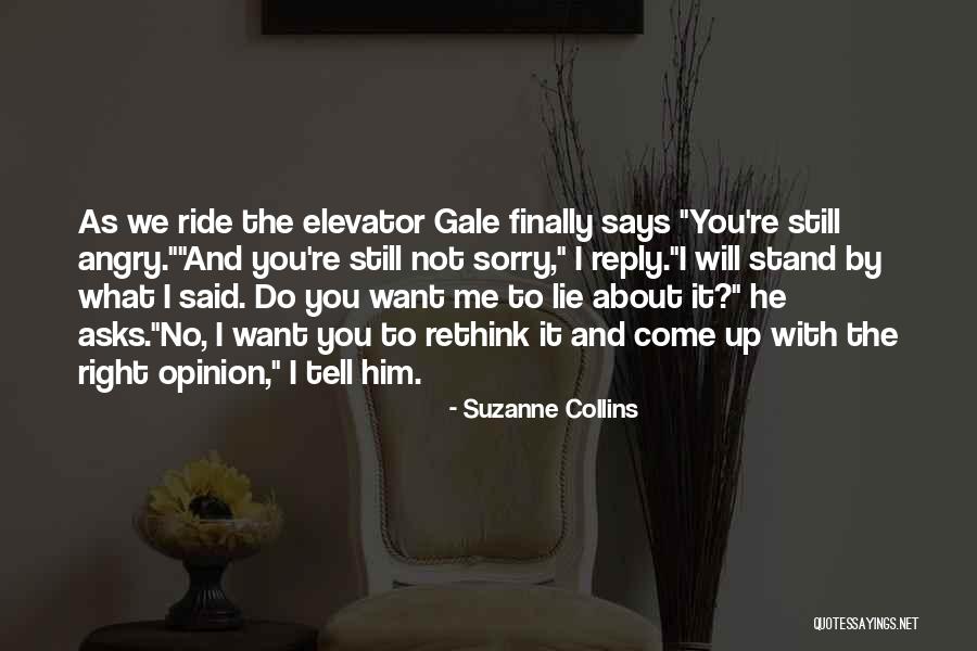 We Stand By You Quotes By Suzanne Collins We Stand By You Quotes By Suzanne Collins