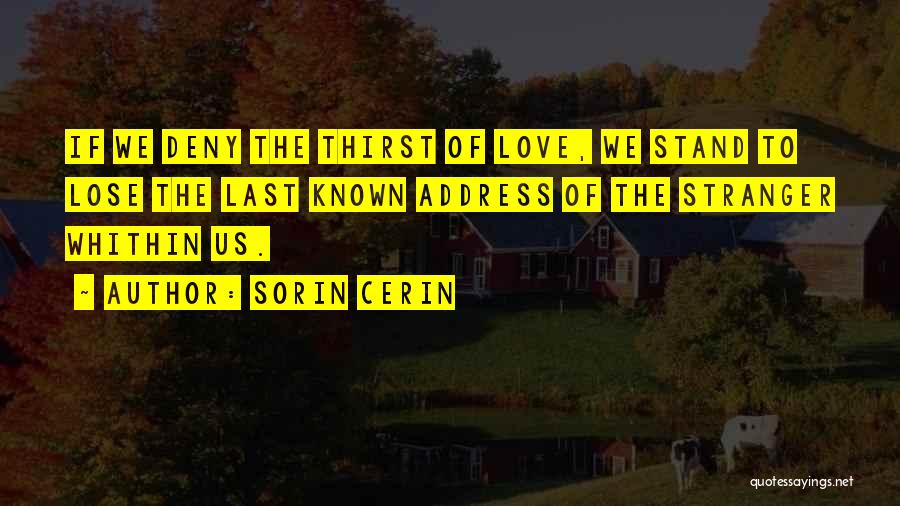 We Stand Quotes By Sorin Cerin